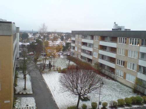 Erster Schnee 2007