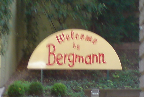 Welcome by Bergmann